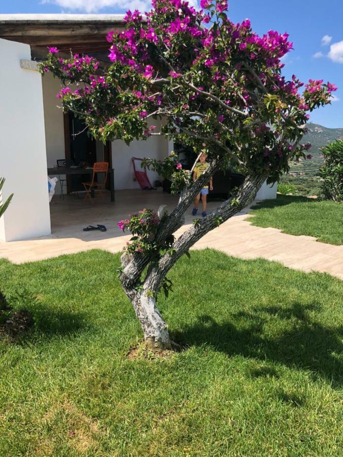 Villa Alba Esclusiva Villa Con Piscina A Sfioro E Vista Mozzafiato Sul Mare Cugnana Bagian luar foto